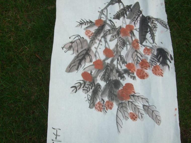 毛笔画荔枝