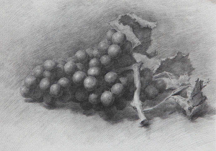 素描葡萄