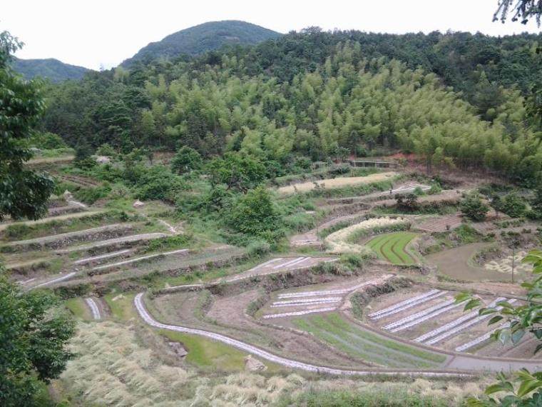 梯田