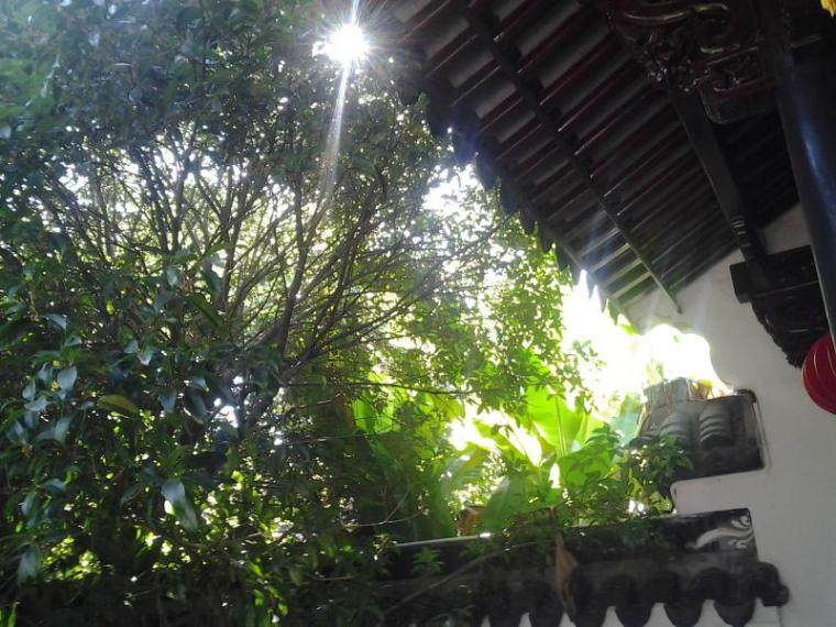 一缕阳光