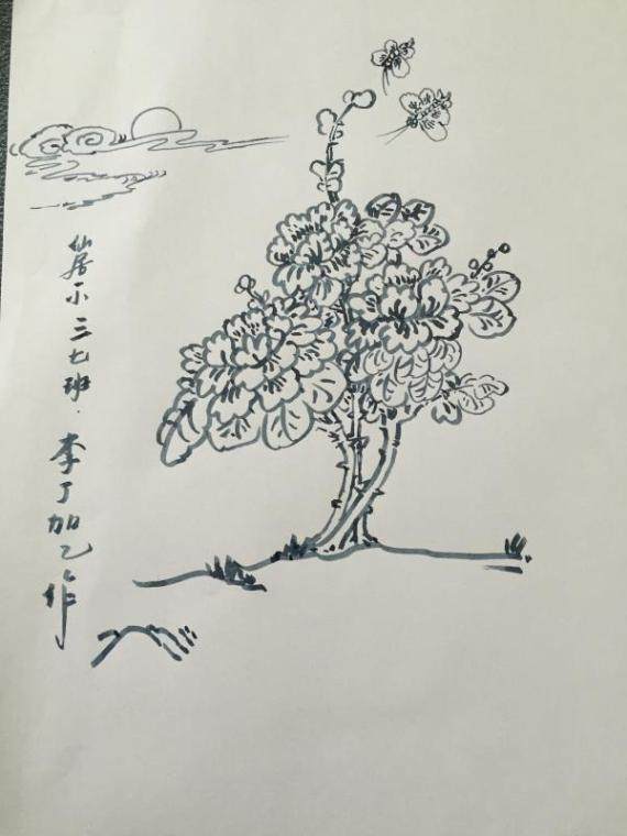 牡丹花