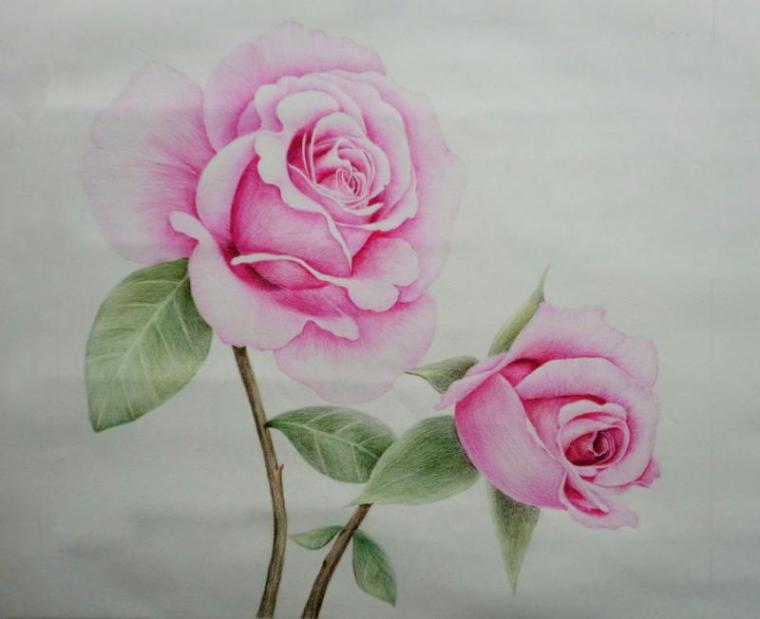 天赋秀场 绘画作品 王诗璐 六年级 仙居县第一小学 绘画作品王诗璐