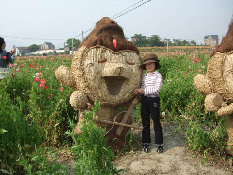 桐庐荻浦的稻草人