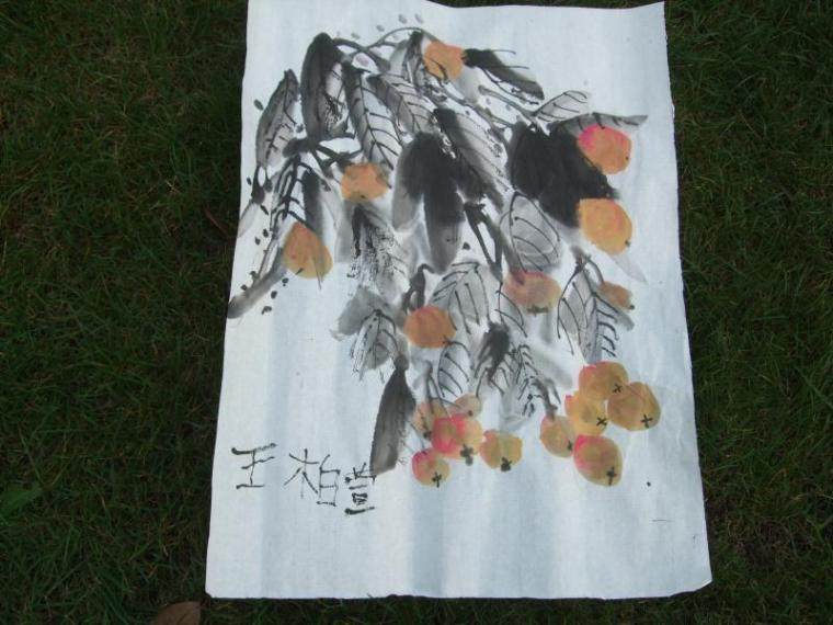 毛笔画——桂圆