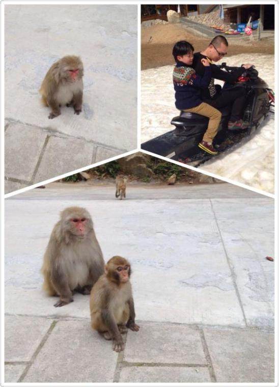 文成玩雪看猴子