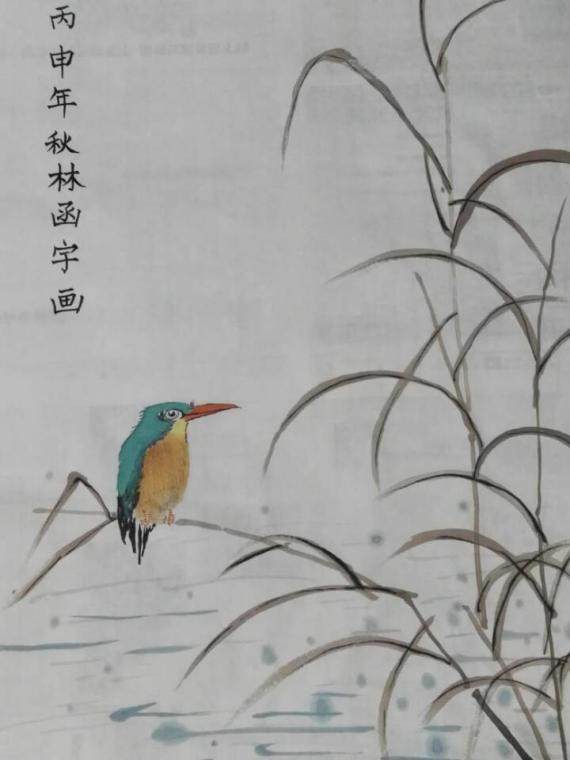 翠鸟