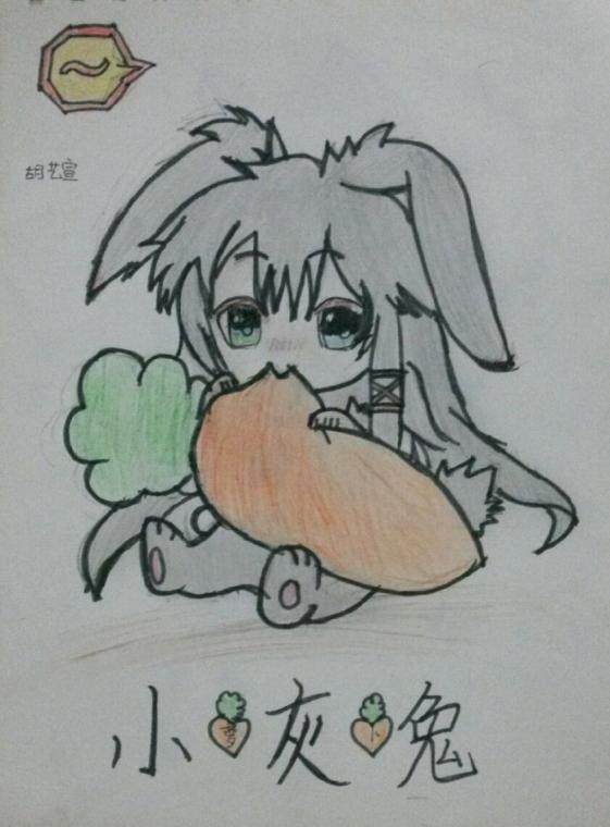 小灰兔