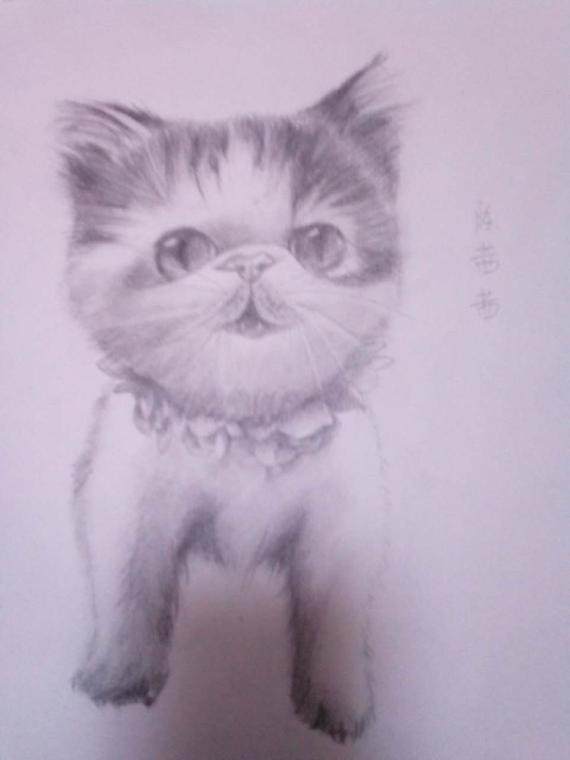 素描喵~＞▽＜