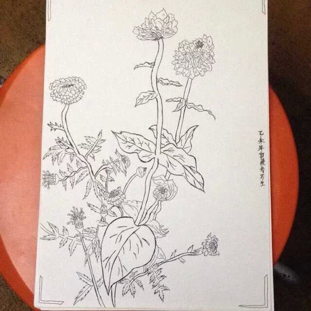 水笔画