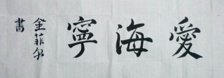 爱海宁