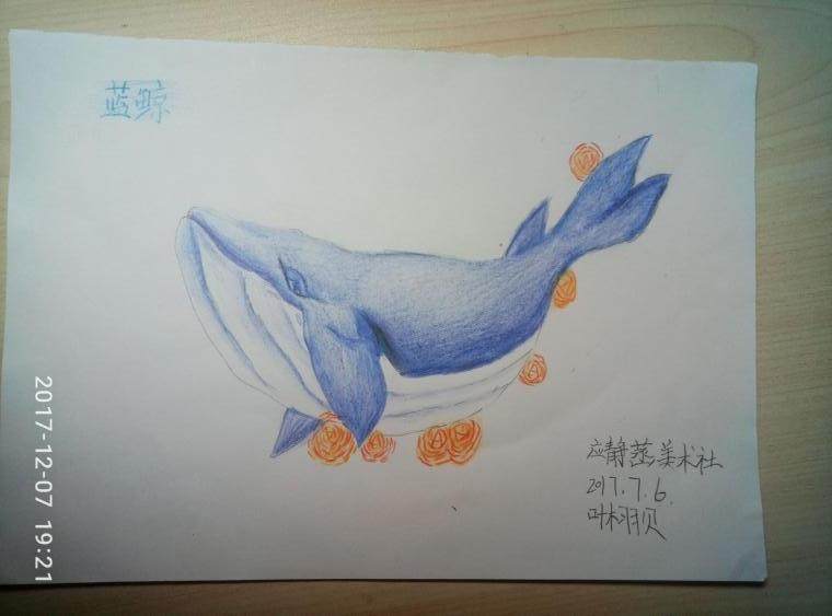 蓝鲸