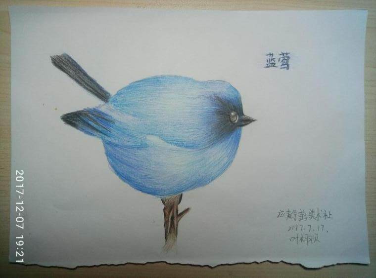 蓝莺