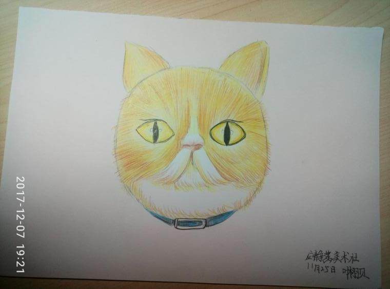 爵士猫