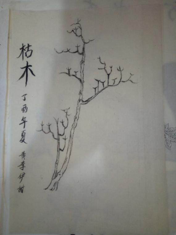 国画《枯木》