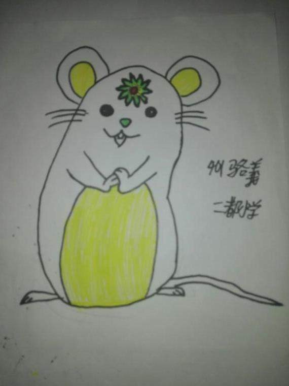 十二生肖之小白鼠
