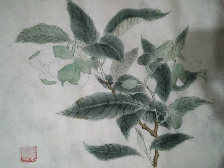 夜荷花