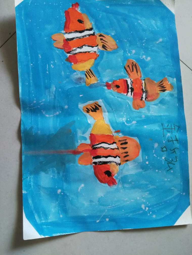 小丑鱼