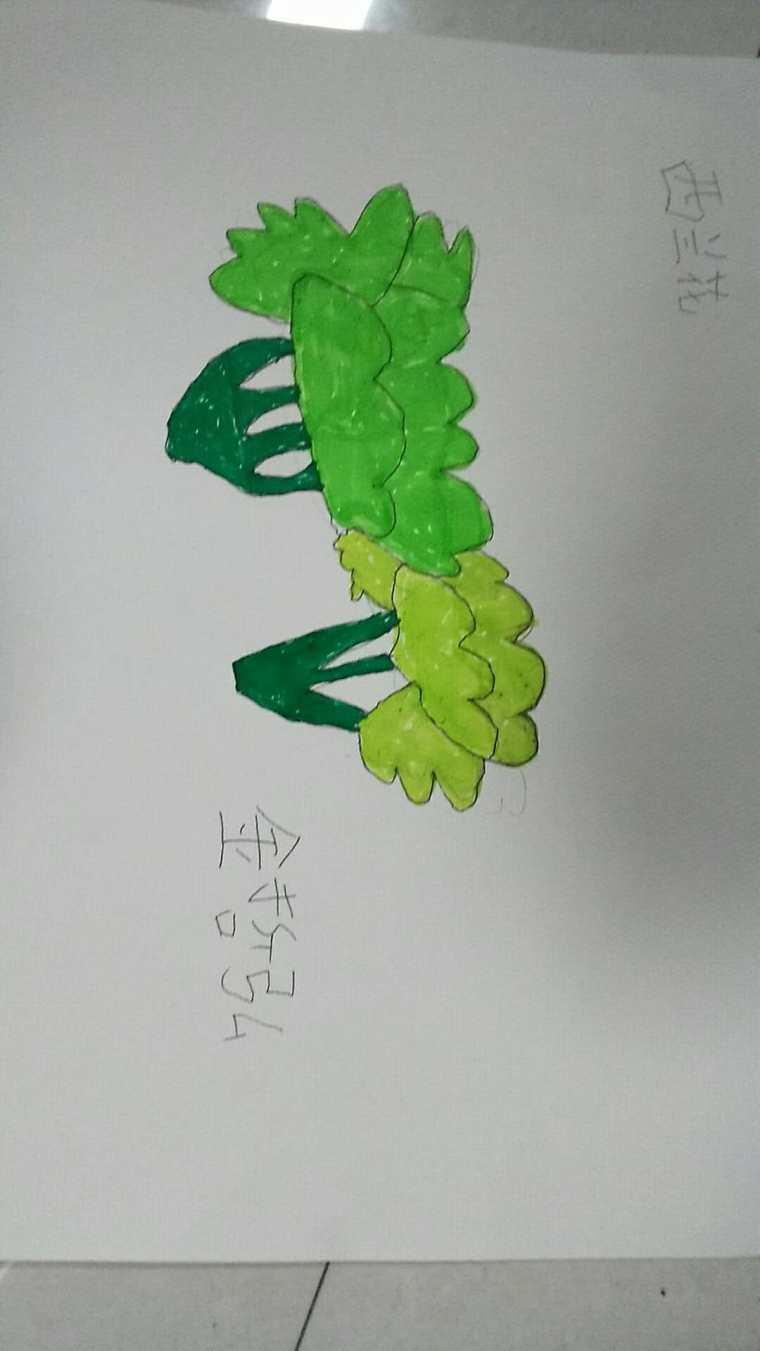 西兰花