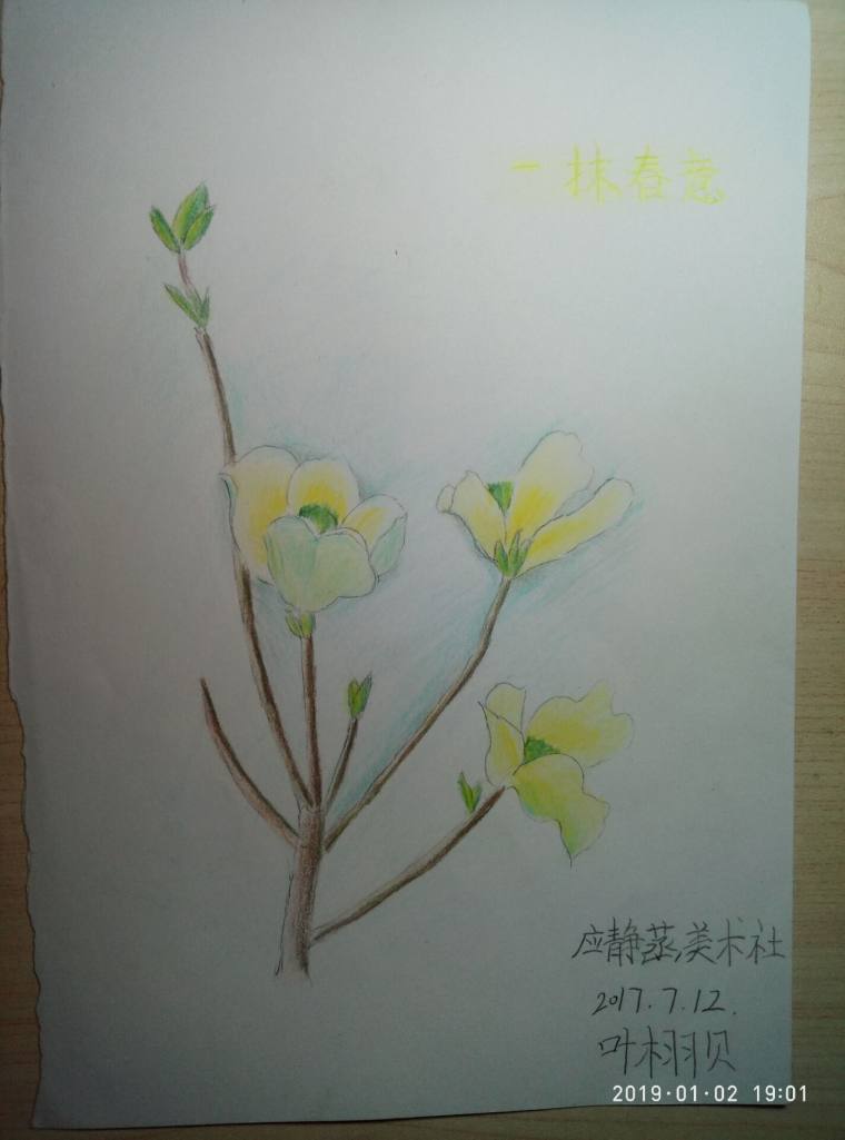 一抹春意